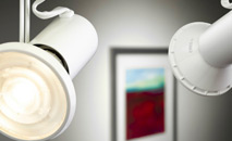 Everyone is slashing the price of their LED bulbs, but Cree says its light quality deserves its $20 price